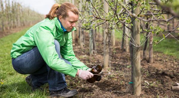 Campaignerin Christiane Huxdorff nimmt Bodenproben auf einer Apfelplantage.