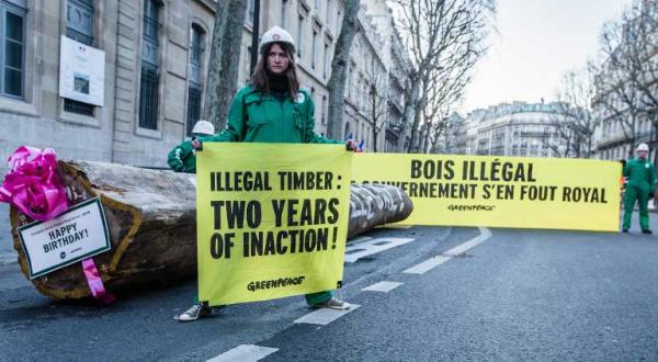 Greenpeace-Aktivisten legen einen 4 Tonnen schweres illegales Tropenholz vor das Umweltministerium, März 2015