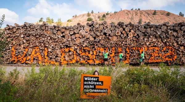 Greenpeace-Aktive demonstrieren gegen die Verbrennung ganzer Bäume
