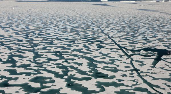 Schmelzendes Meereis bei Grönland, Juli 2013