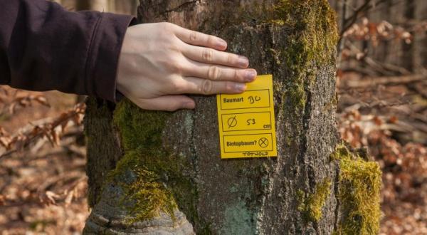 05. März 2014: Greenpeace-Aktivisten kartieren im Spessart wertvolle alte Buchenwälder