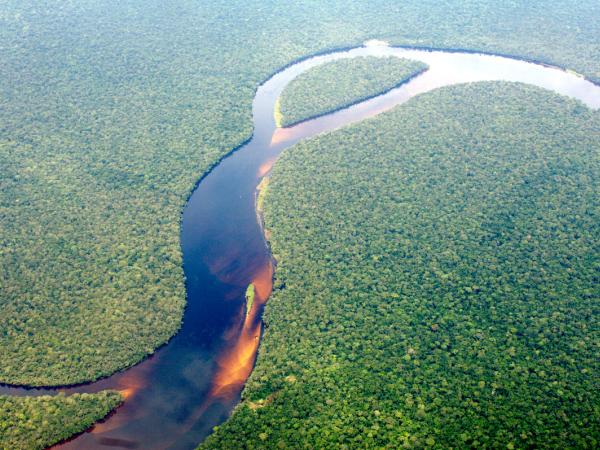 Regenwald im Kongo aus der Luftsperspektive