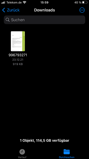 Screenshot iOS Safari Dateien Downloads PDF Datei