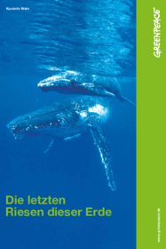 Kurzinfo: Wale - Die letzten Riesen der Meere