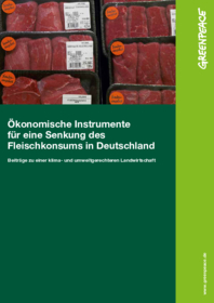 Studie: Ökonomische Instrumente für eine Senkung des Fleischkonsums