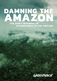 Report: Damning The Amazon