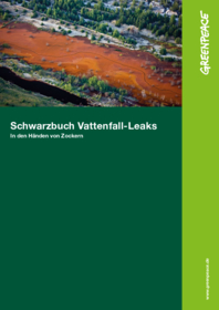 Schwarzbuch Vattenfall-Leaks - In den Händen von Zockern