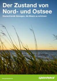 Report: Zustand von Nord- und Ostsee