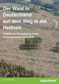 Studie: Der Wald in Deutschland auf dem Weg in die Heißzeit