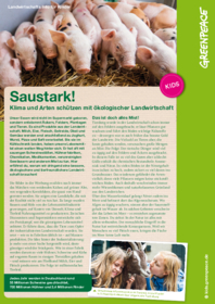 Kinderinfo Landwirtschaft Saustark.pdf