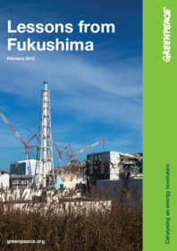 Lessons from Fukushima (engl.)