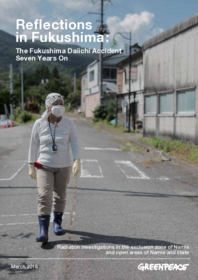 Reflections in Fukushima: The Fukushima Daiichi Accident Seven Years On