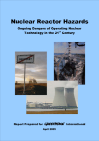 Report: Nuclear Reactor Hasards (engl.)