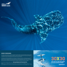30x30. Wie wir 30 % der Weltmeere bis 2030 schützen können