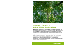 Flyer ZUKUNFT [S] WALD Echte Wälder für das Klima