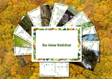 Postkarten-Set Kleines Waldrätsel 