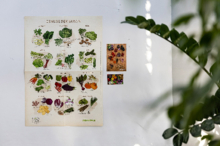 Saisonales Gemüse – Saisonkalender und Poster zum Bestellen