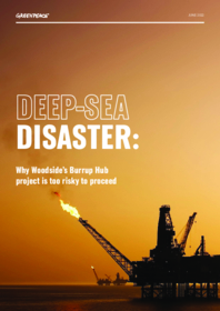 Deep-Sea Disaster: Why Woodside’s Burrup Hub project is too risky to proceed - Study.pdf