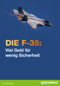 DIE F-35: Viel Geld für wenig Sicherheit - Studie
