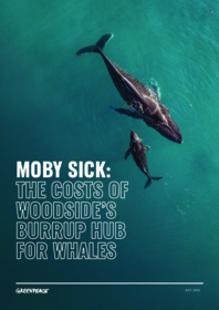 MOBY SICK: THE COSTS OF WOODSIDE’S BURRUP HUB FOR WHALES