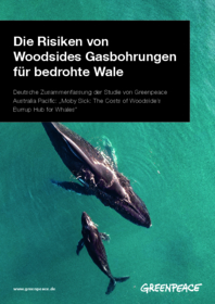 Risiken von Woodeside Gasbohrungen für bedrohte Wale – Studie