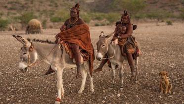 Himbafrauen in Namibia reiten mit ihren Kindern auf Eseln zu ihren Verwandten