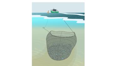 Grafik: Fischerei mit der Ankerwade