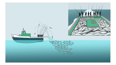 Grafik: Fischerei mit Rute und Leine