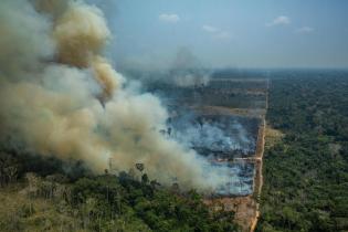 Waldzerstörung durch Brände in Brasilien