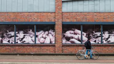 Front Supermarkt mit aufgeklebten Schweinestallmotiven, im Vordergrund Frau mit Fahrrad
