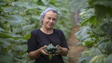 Ökologischer Zucchini-Anbau in der Türkei