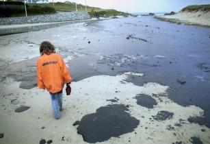 "Prestige" oil spill