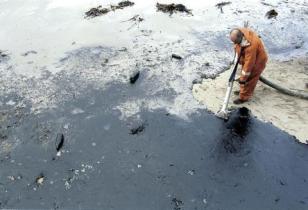 "Prestige" oil spill