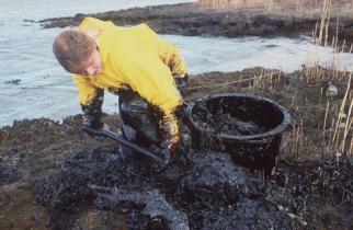 oil spill Denmark