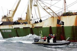 fishery action Barents Sea