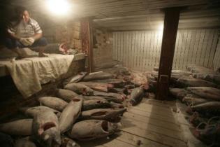 fishery off Kiribati