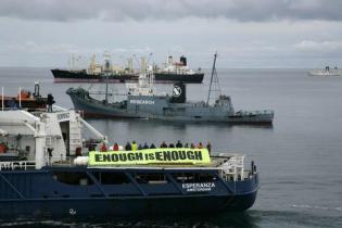 Die Greenpeace-Crew der MV Esperanza hält ein Banner: "Enough is Enough" und fordert Japan auf, den Walfang einzustellen. Das beschaedigte japanische Walfang-Fabrikschiff "Nisshin Maru" liegt zwischen dem Versorgungsschiff  und einem Walfänger