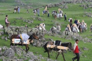 Noah's Ark on Mount Ararat