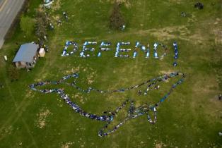 Mehr als zweihundert Menschen formen ein Human Banner, dass einen Buckelwal und  die Aufforderung "Defend" darstellt. In Anchorage tagt zeitgleich die Internationale Walfangkommission (IWC)
