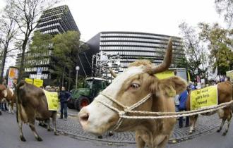 No Patents on Life demonstration Munich