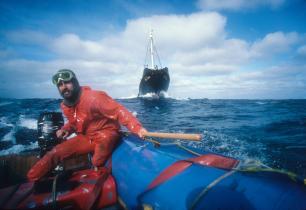 Greenpeace-Aktivist Chris Robinson im Zodiac vor dem isländischen Walfänger Hvalur 9 (Nordatlantik).