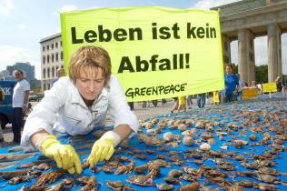 Action against Bycatch in Germany