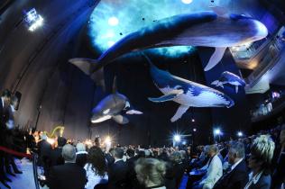 Opening Giants of the Sea Exhibition in Germany