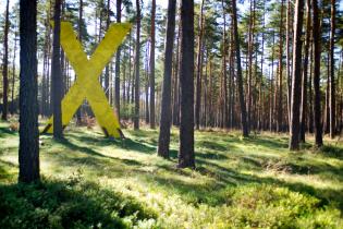 Anti-Castor-Protest: Gelbes X im Wald von Gorleben