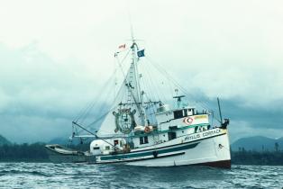 Das Greenpeace-Schiff Phyllis Cormack vor der kanadischen Küste, 1975
