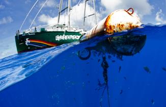 Rainbow Warrior Thunfischtour im Pazifischen Ozean 2015