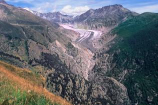 Glacier Comparison Aletsch Glacier in Switzerland
