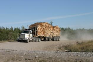 Lastwagen, beladen mit Holz von der "Longlac Paper Mill" (Eigentum von Neenah Papers)