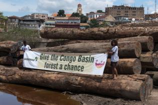 'Give the Congo Basin Forest a Chance' banner in Matadi