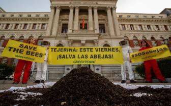 Greenpeace Aktivist:innen bringen 20 Kilo tote Bienen, die durch den Einsatz von Insektiziden in Spanien vergiftet wurden, vor die Tür des Ministeriums für Landwirtschaft, Fischerei, Ernährung und Umwelt.